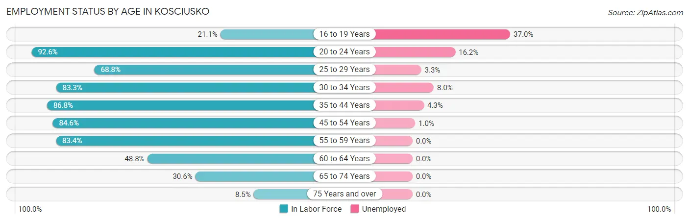 Employment Status by Age in Kosciusko