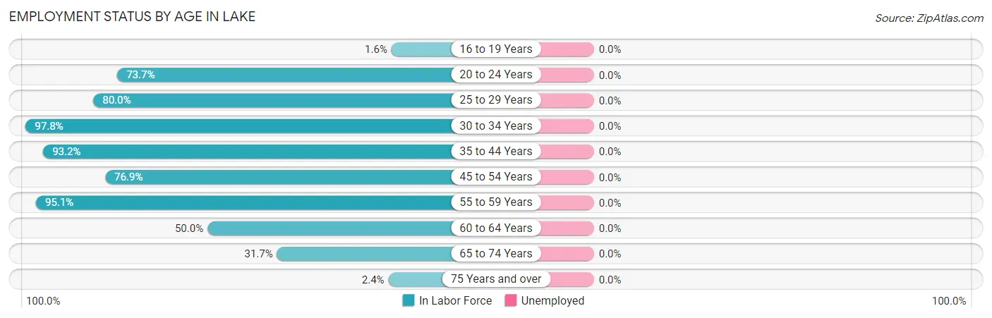 Employment Status by Age in Lake