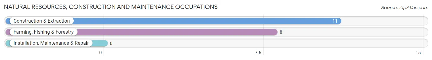 Natural Resources, Construction and Maintenance Occupations in Lambert