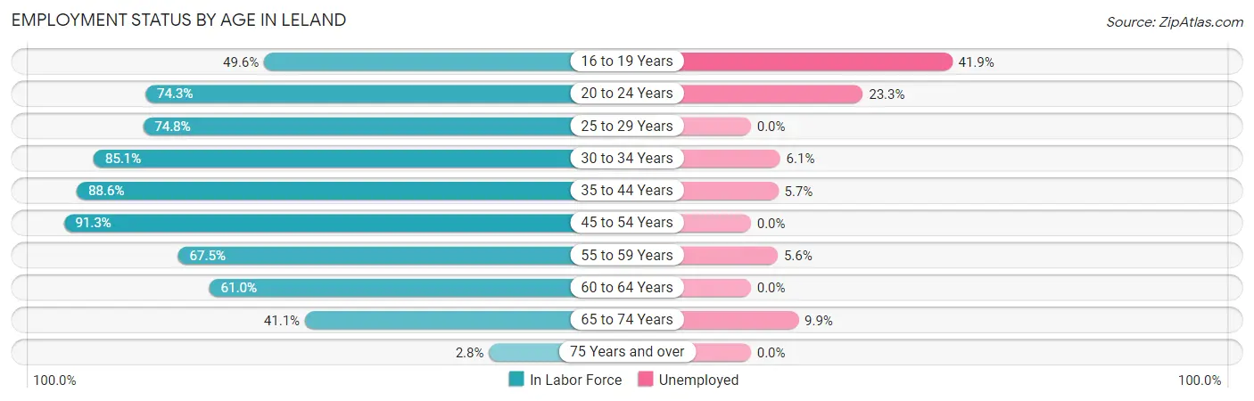 Employment Status by Age in Leland