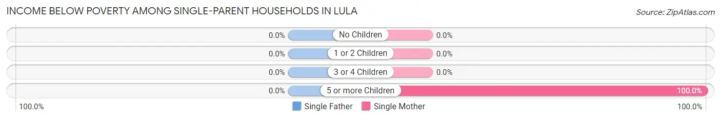 Income Below Poverty Among Single-Parent Households in Lula