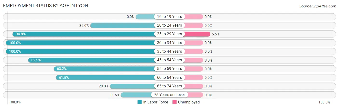 Employment Status by Age in Lyon