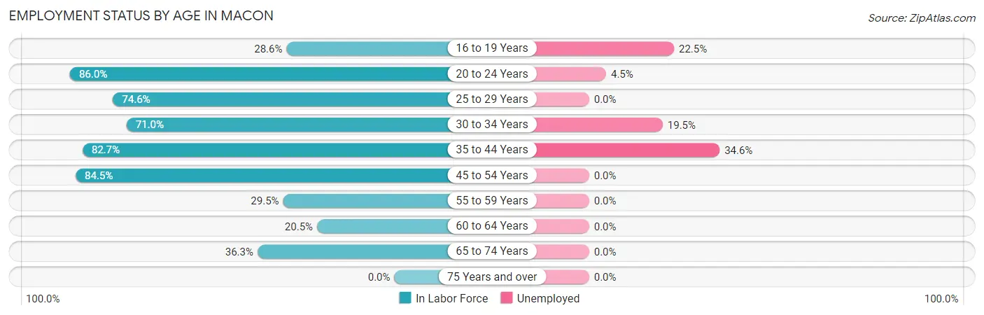 Employment Status by Age in Macon