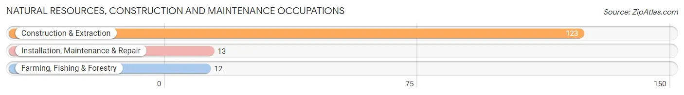 Natural Resources, Construction and Maintenance Occupations in Macon