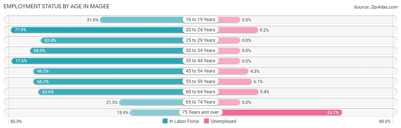 Employment Status by Age in Magee
