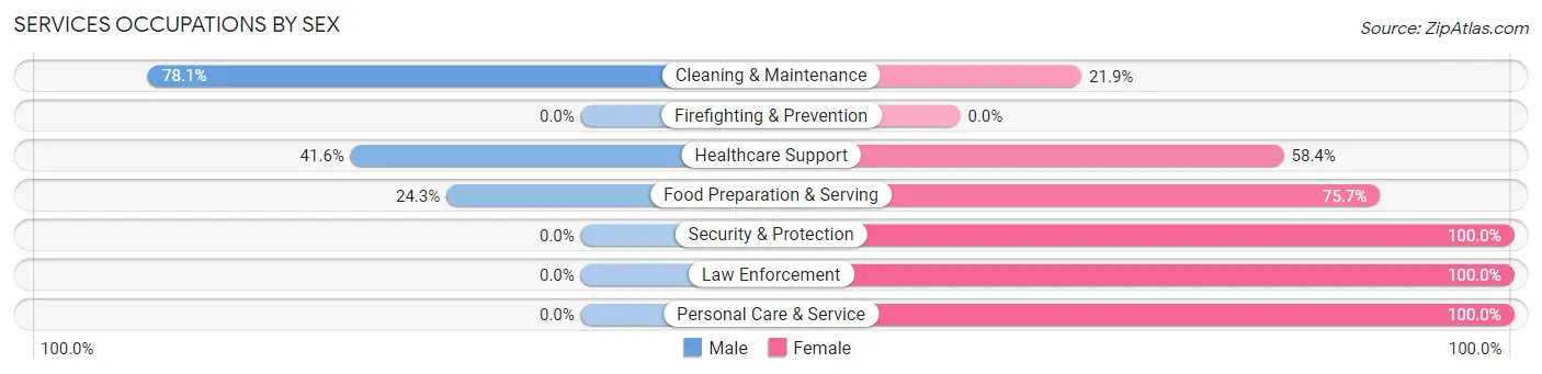 Services Occupations by Sex in Magee