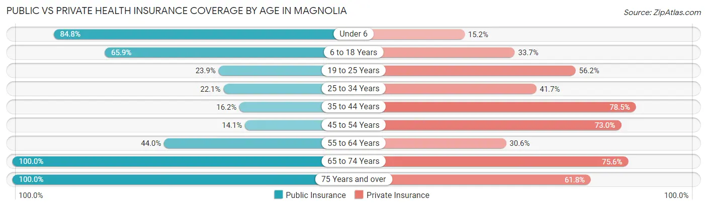 Public vs Private Health Insurance Coverage by Age in Magnolia