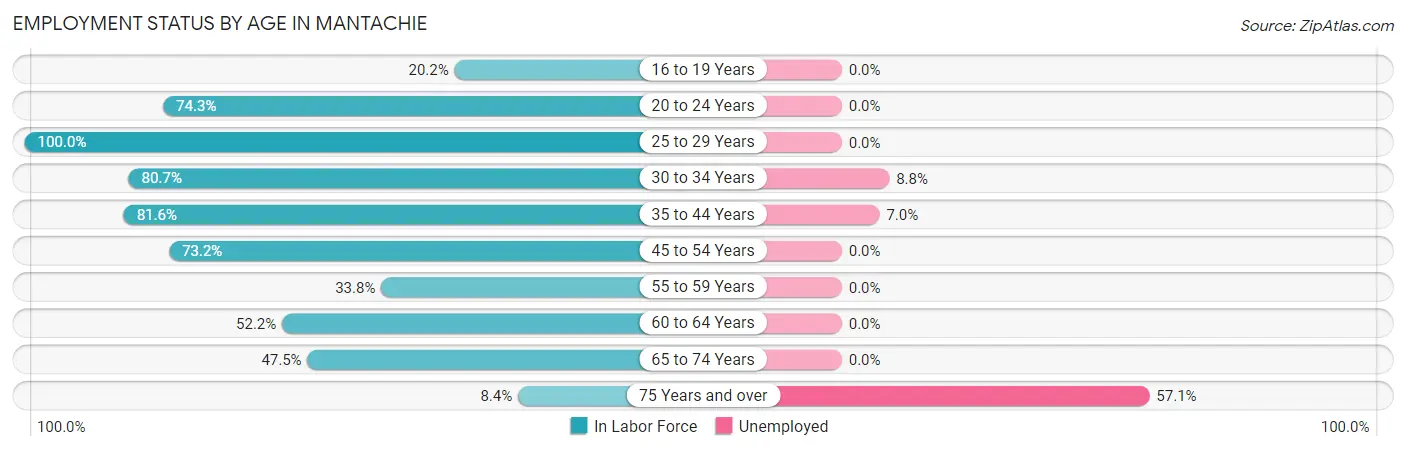Employment Status by Age in Mantachie
