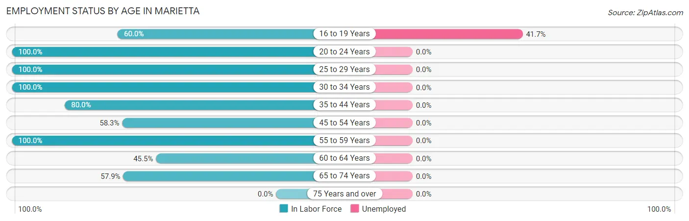Employment Status by Age in Marietta