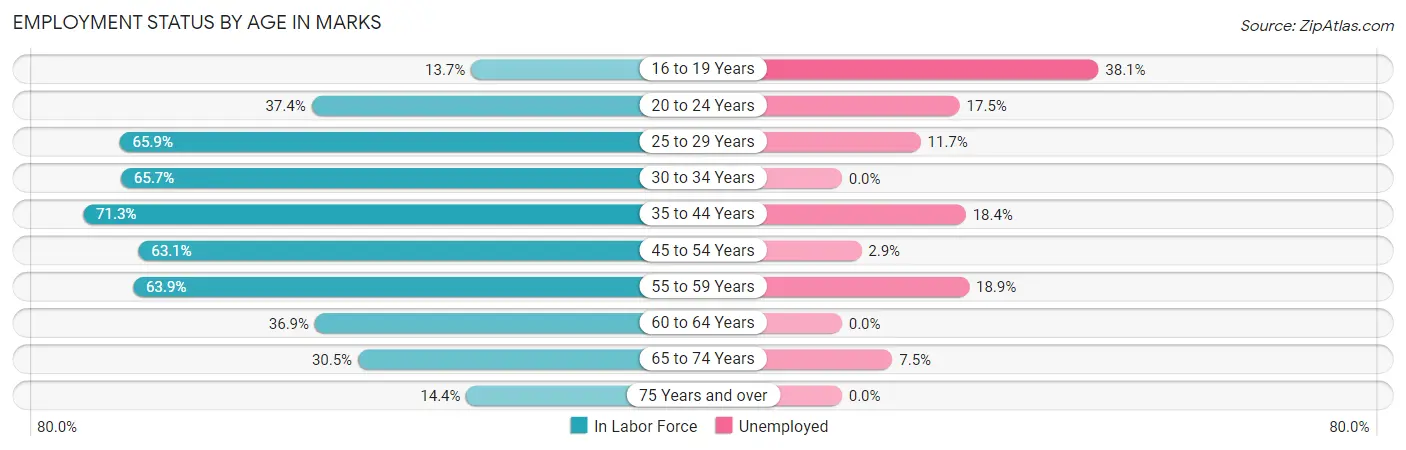 Employment Status by Age in Marks