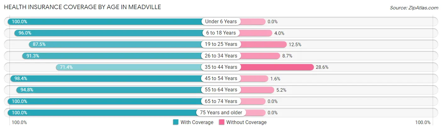 Health Insurance Coverage by Age in Meadville