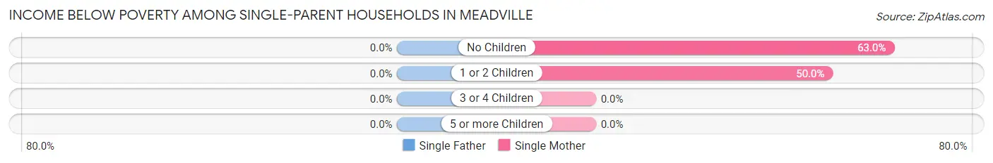 Income Below Poverty Among Single-Parent Households in Meadville