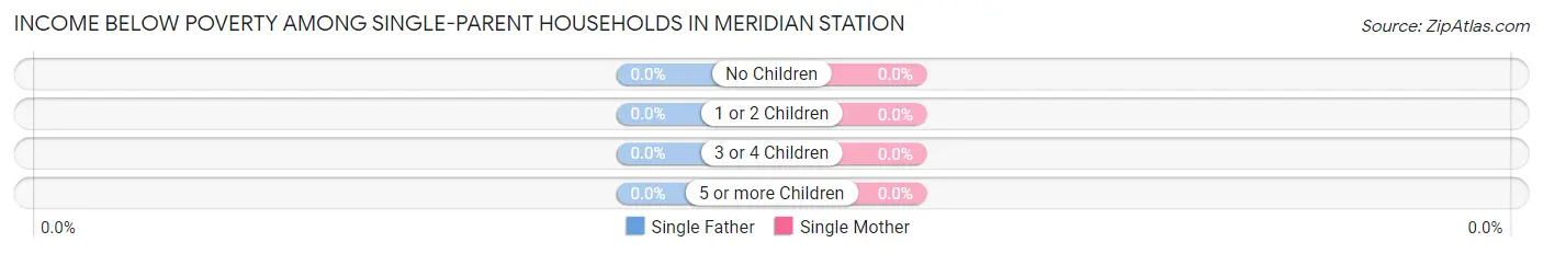Income Below Poverty Among Single-Parent Households in Meridian Station