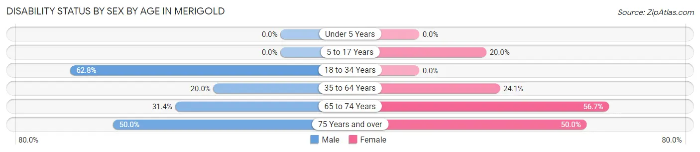 Disability Status by Sex by Age in Merigold