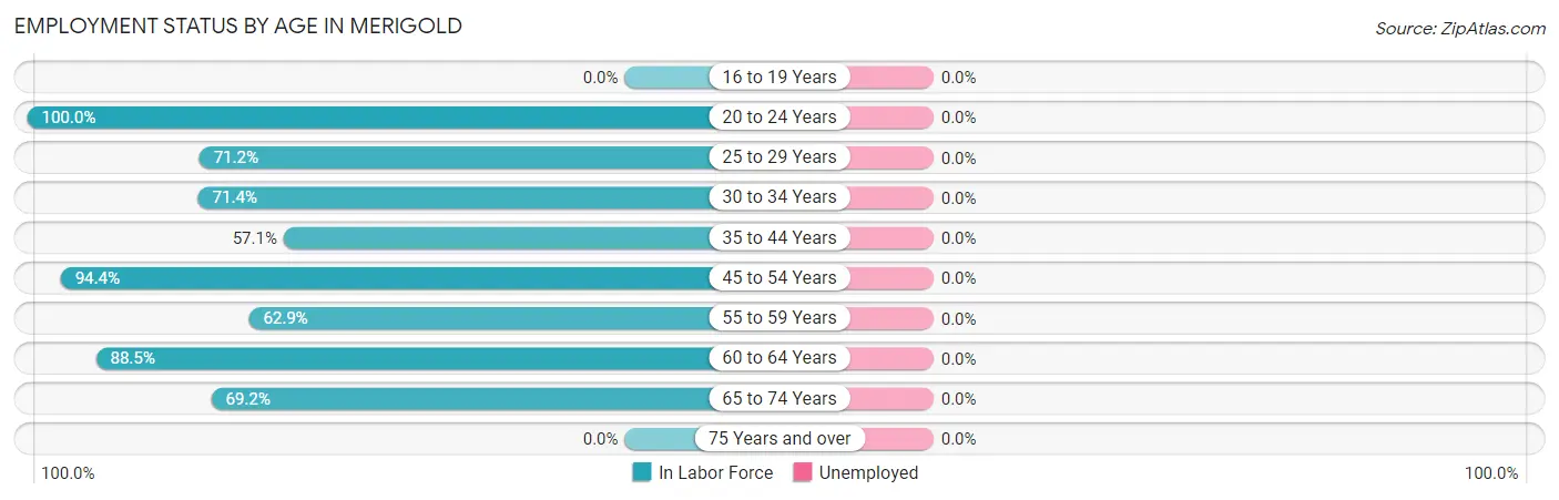 Employment Status by Age in Merigold