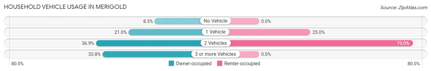 Household Vehicle Usage in Merigold