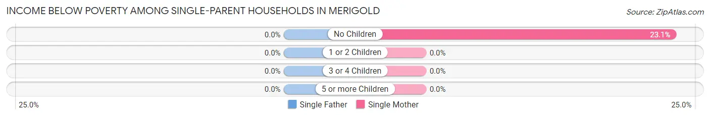 Income Below Poverty Among Single-Parent Households in Merigold