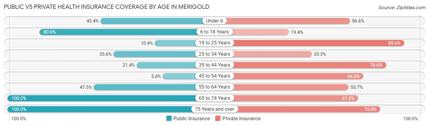 Public vs Private Health Insurance Coverage by Age in Merigold