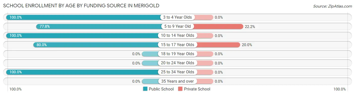 School Enrollment by Age by Funding Source in Merigold