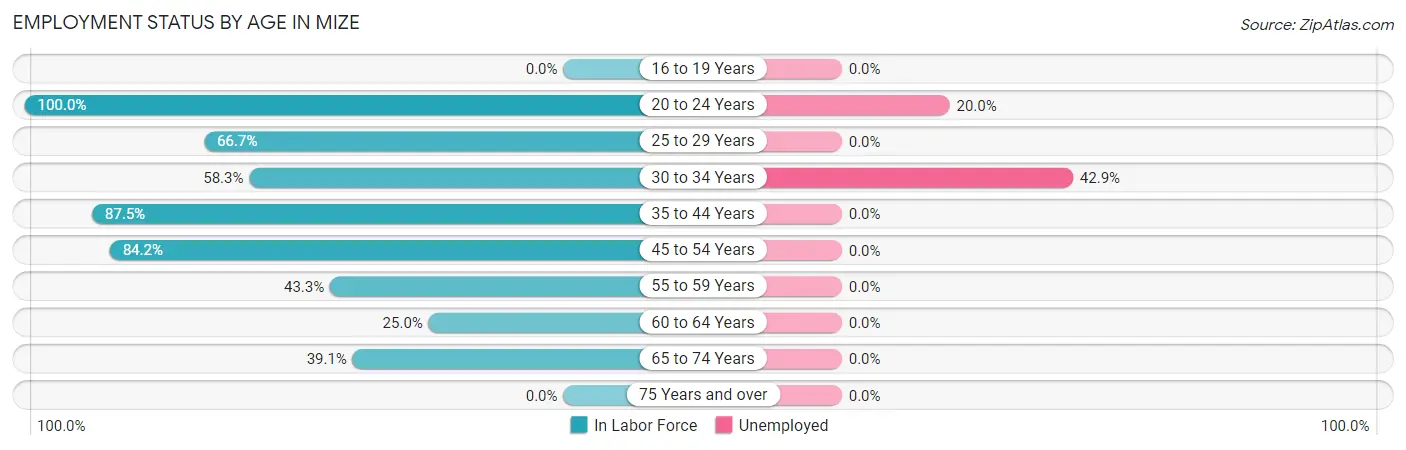 Employment Status by Age in Mize