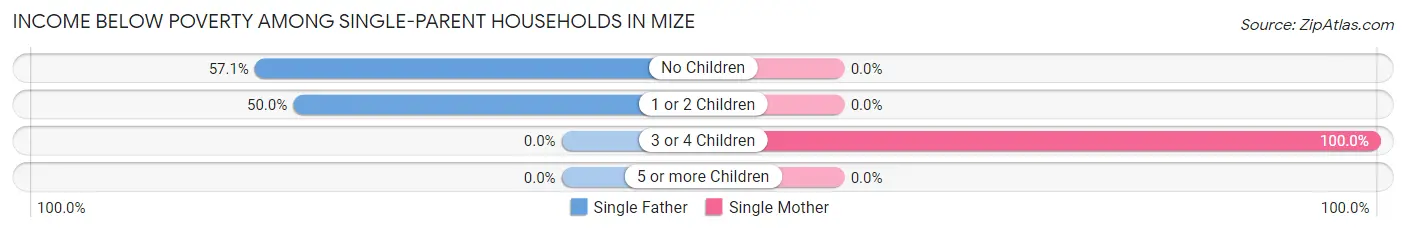 Income Below Poverty Among Single-Parent Households in Mize