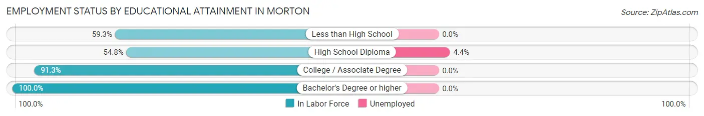 Employment Status by Educational Attainment in Morton