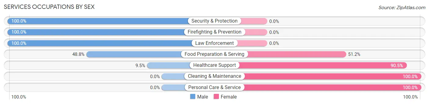 Services Occupations by Sex in Mound Bayou