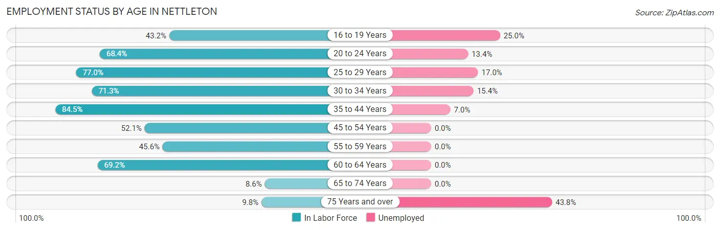 Employment Status by Age in Nettleton