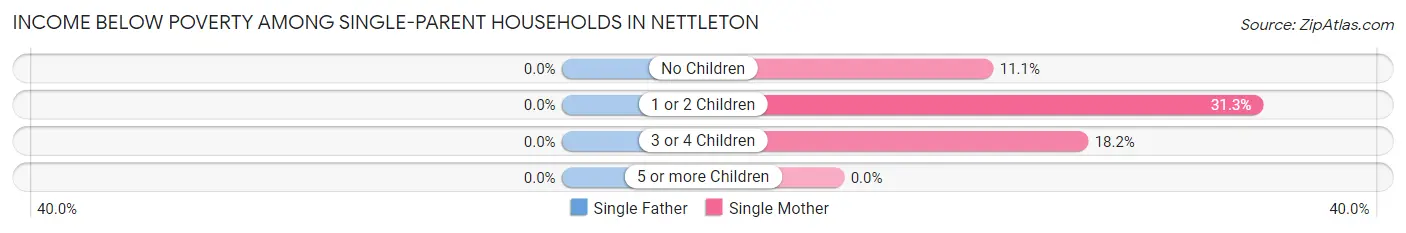 Income Below Poverty Among Single-Parent Households in Nettleton