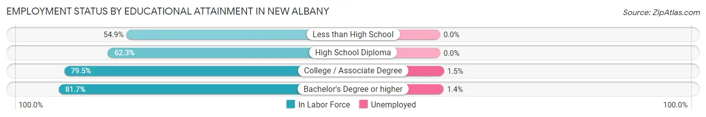 Employment Status by Educational Attainment in New Albany