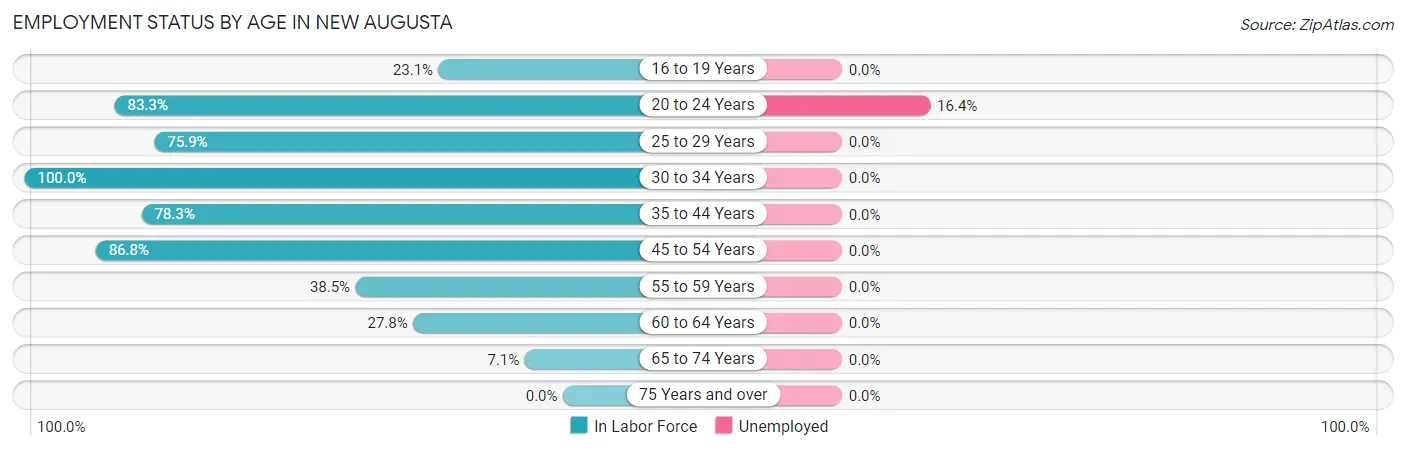 Employment Status by Age in New Augusta