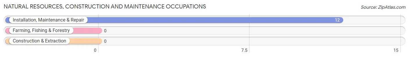 Natural Resources, Construction and Maintenance Occupations in New Hamilton