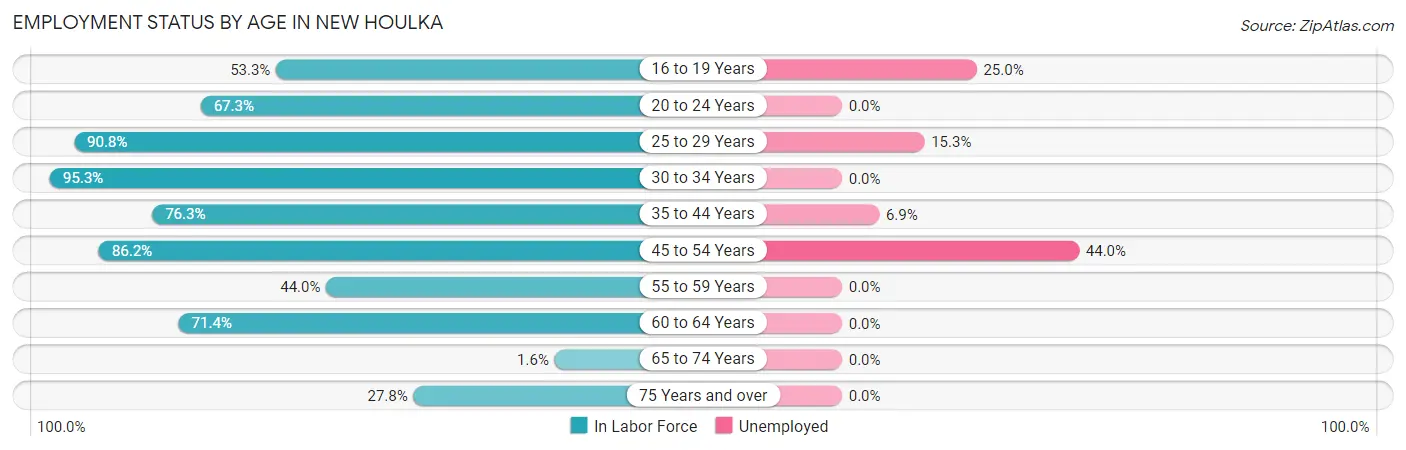 Employment Status by Age in New Houlka
