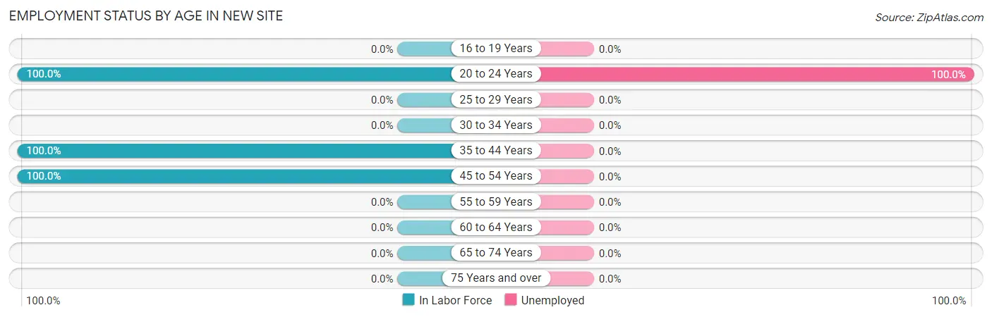 Employment Status by Age in New Site