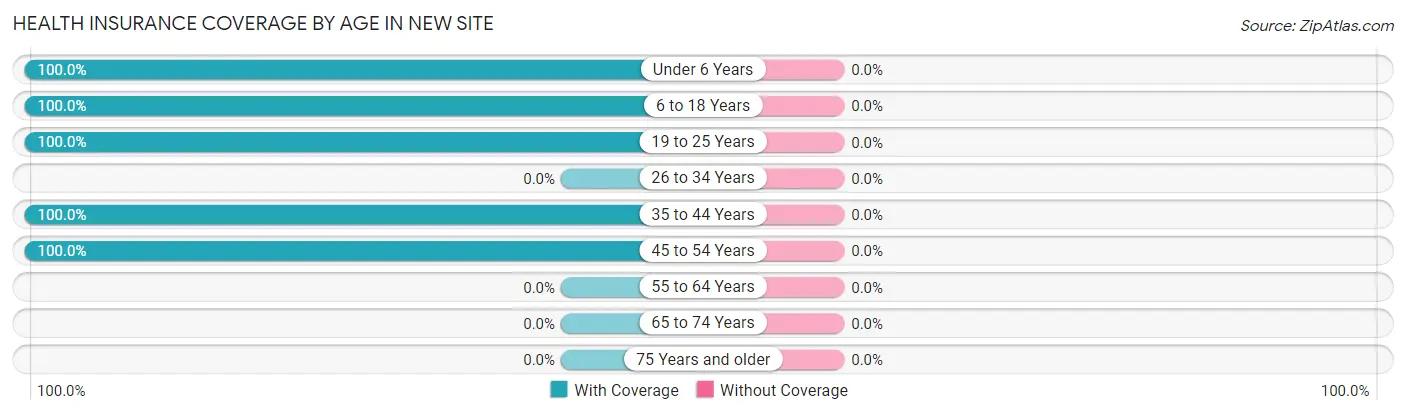 Health Insurance Coverage by Age in New Site