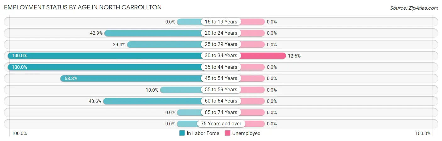 Employment Status by Age in North Carrollton