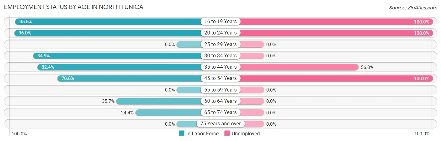 Employment Status by Age in North Tunica