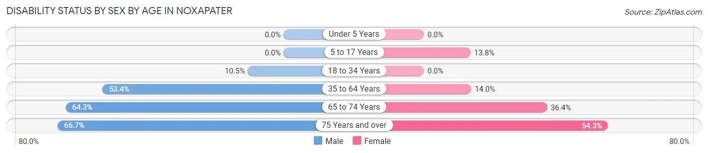 Disability Status by Sex by Age in Noxapater