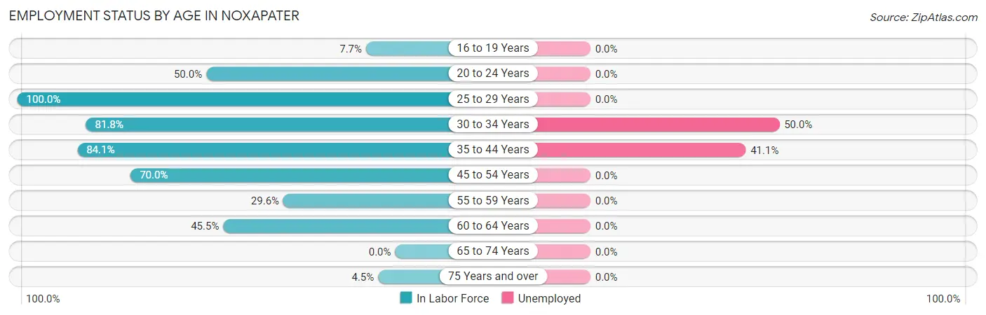 Employment Status by Age in Noxapater