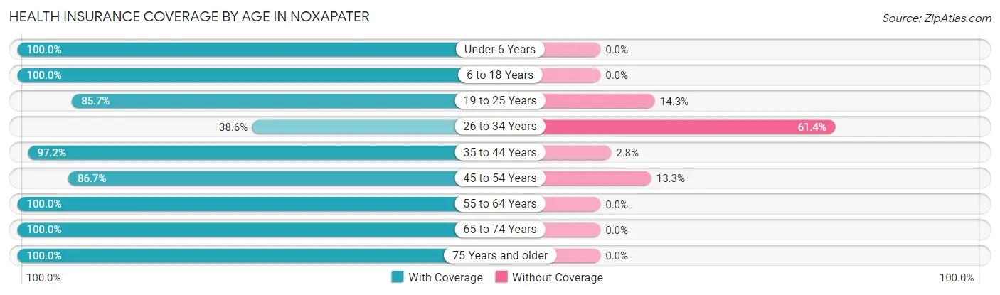 Health Insurance Coverage by Age in Noxapater