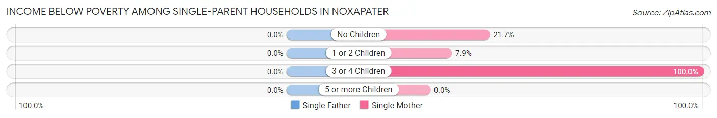 Income Below Poverty Among Single-Parent Households in Noxapater