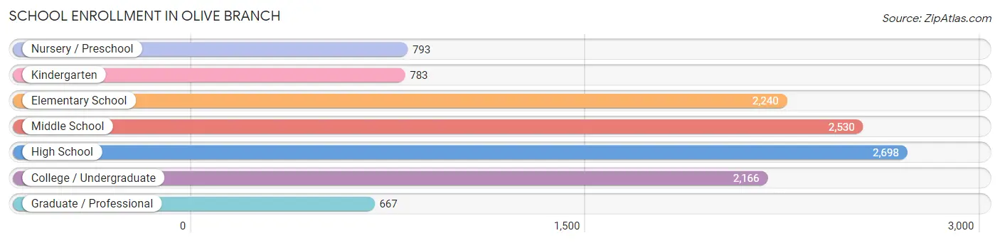 School Enrollment in Olive Branch