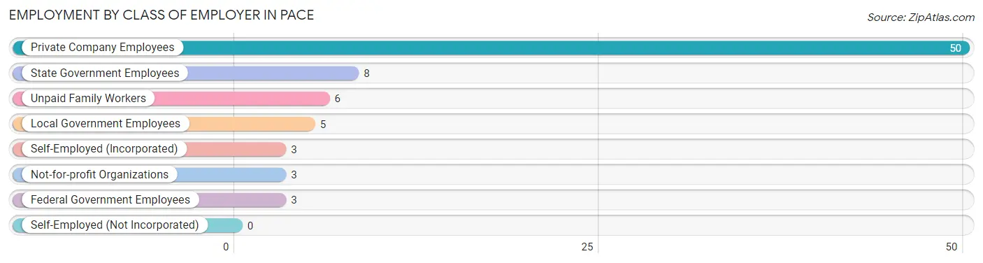 Employment by Class of Employer in Pace