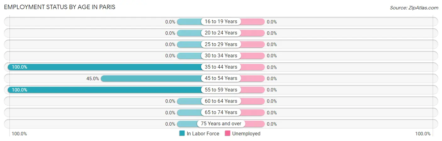 Employment Status by Age in Paris