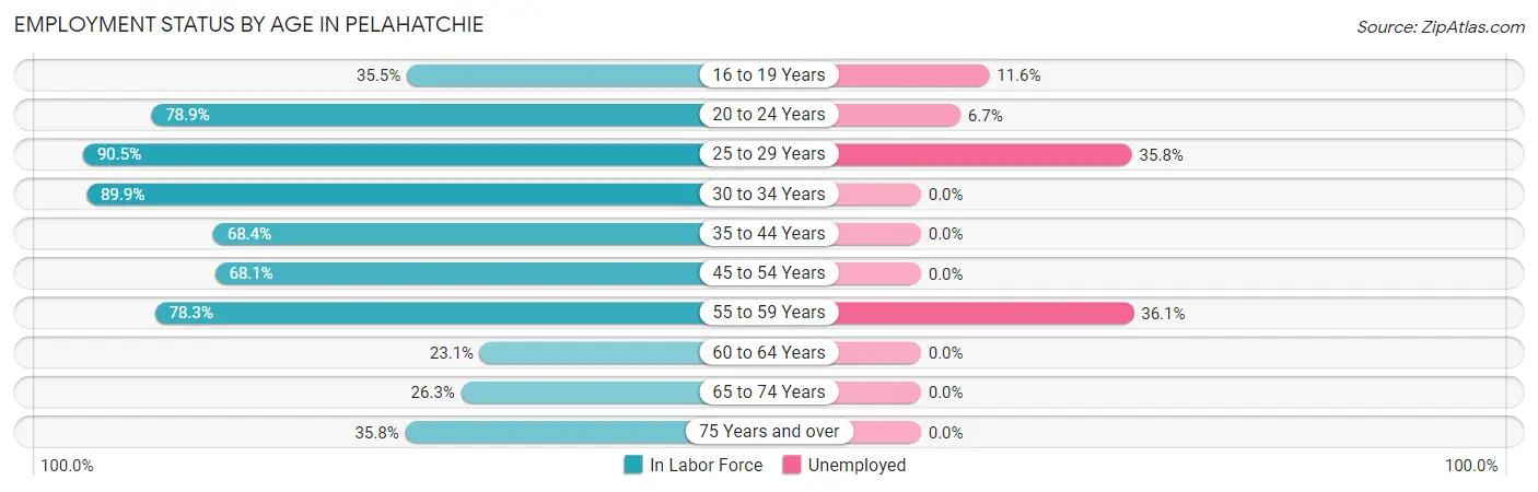 Employment Status by Age in Pelahatchie