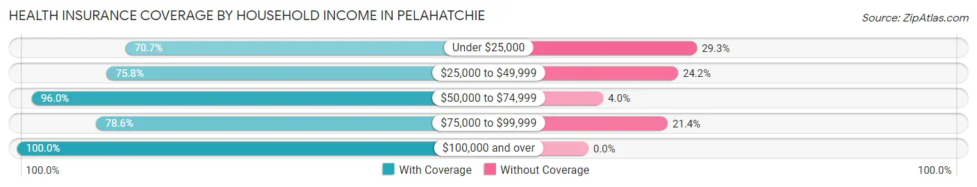 Health Insurance Coverage by Household Income in Pelahatchie