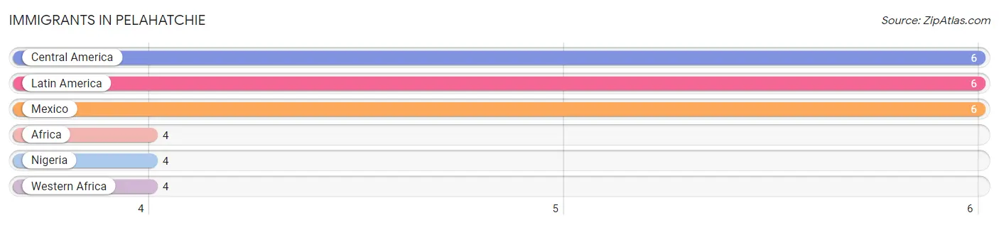 Immigrants in Pelahatchie