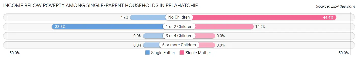 Income Below Poverty Among Single-Parent Households in Pelahatchie