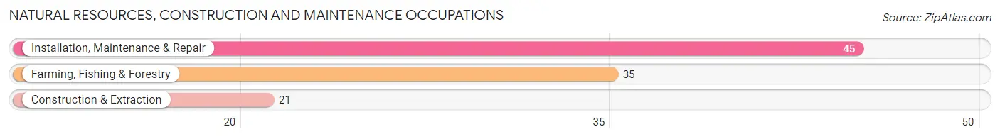 Natural Resources, Construction and Maintenance Occupations in Pelahatchie