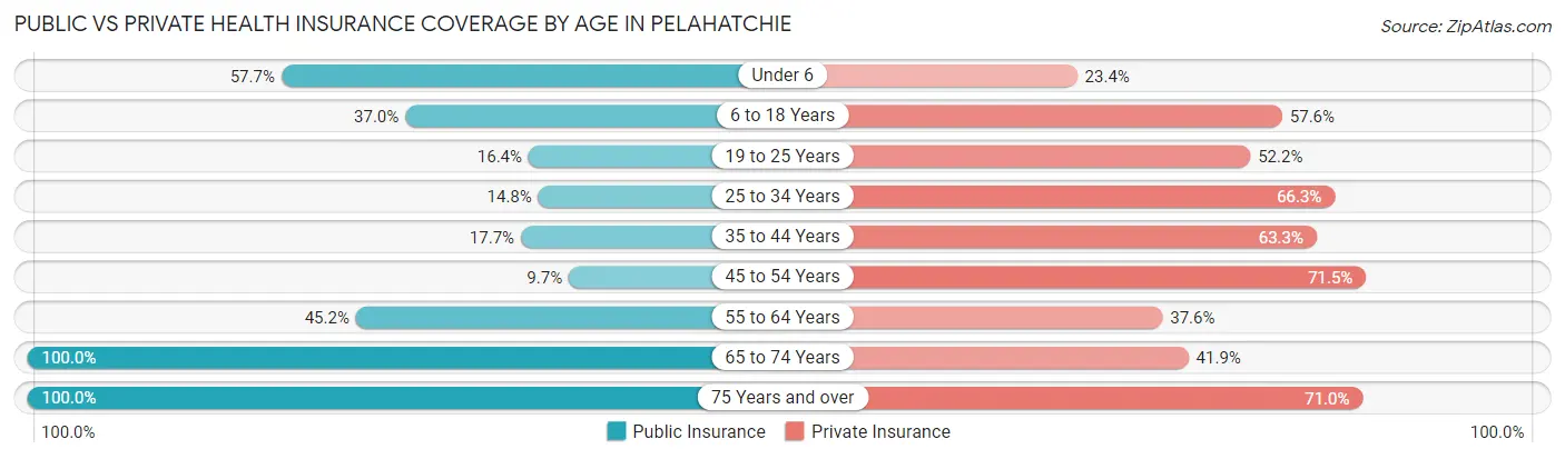 Public vs Private Health Insurance Coverage by Age in Pelahatchie
